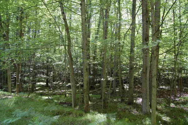 Canadian Lakes, MI 49346,10076 Pueblo Lane