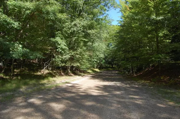 Canadian Lakes, MI 49346,10076 Pueblo Lane