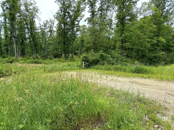 Pullman, MI 49450,V/L 109th Ave Avenue