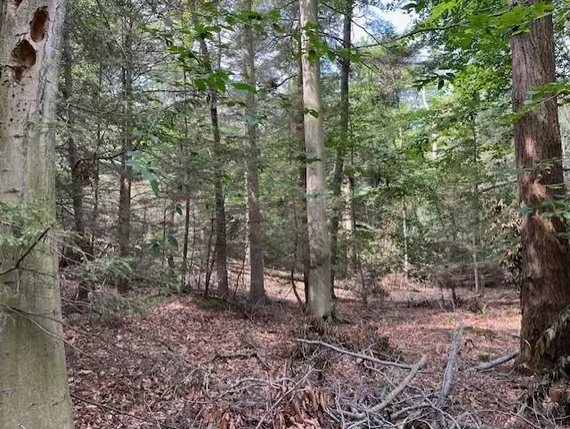 Montague, MI 49437,Lot 7 Bix Trail