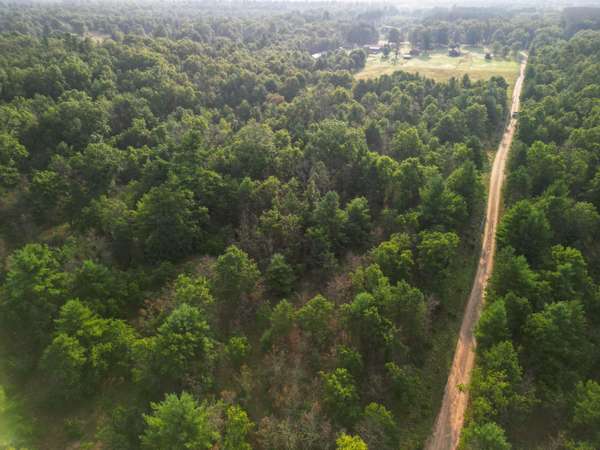 Newaygo, MI 49337,40 Acres S Barberry