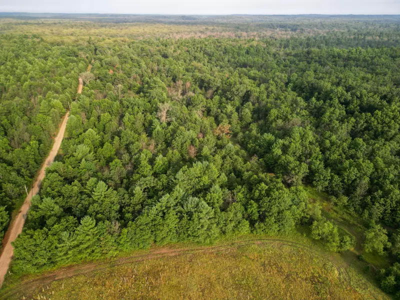 40 Acres S Barberry, Newaygo, MI 49337