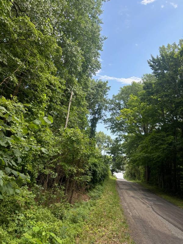 Lot 1A 73rd Street, South Haven, MI 49090