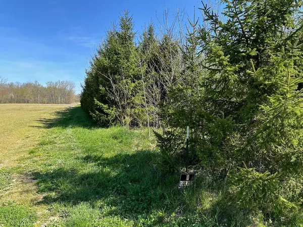 Eau Claire, MI 49111,V/L Hipps Hollow Road
