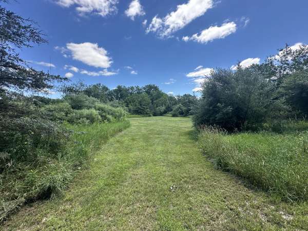 Cochran Road, Horton, MI 49246