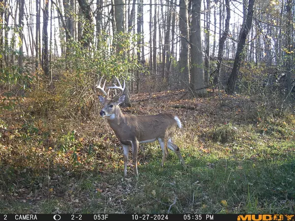 Vermontville, MI 49096,VL Round Lake Rd