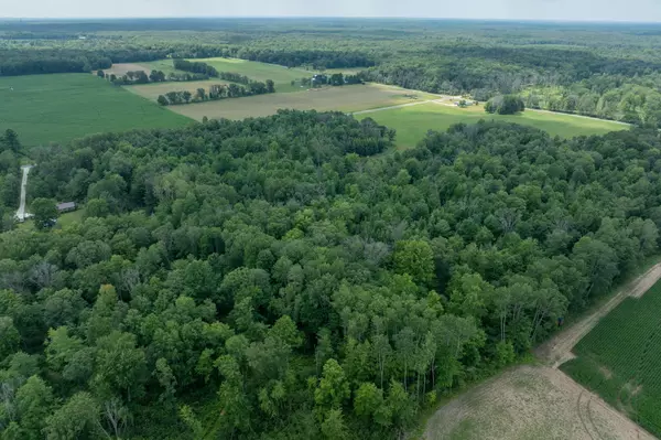 White Cloud, MI 49349,VL15acre E 3 Mile Avenue