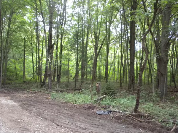 Saugatuck, MI 49453,1 Old Allegan Road