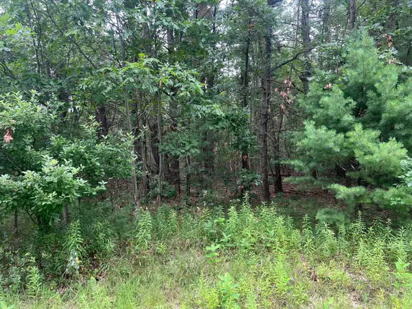 Whitehall, MI 49461,Whitehall Road