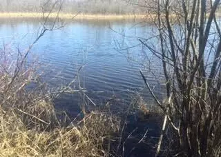 White Lake, MI 48386,VL Lake Lane