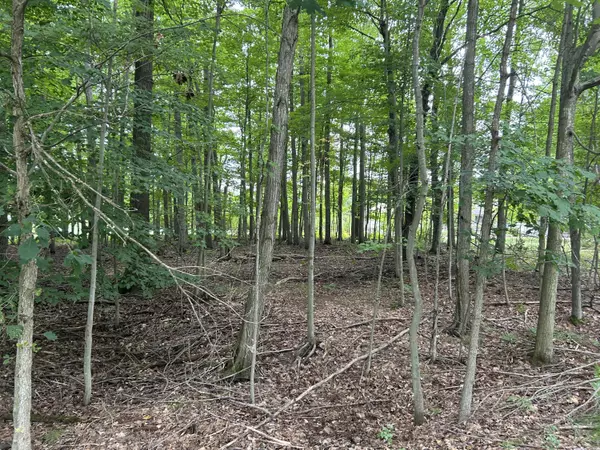 Canadian Lakes, MI 49346,9523 Fawn Ridge Road