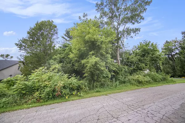 Pleasant Lake, MI 49272,Spinnaker Lane