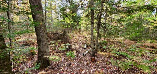 TBD Merwin Creek Rd,  Manistique,  MI 49854