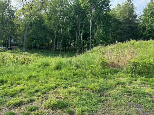 New Buffalo, MI 49117,1 Lake View Avenue