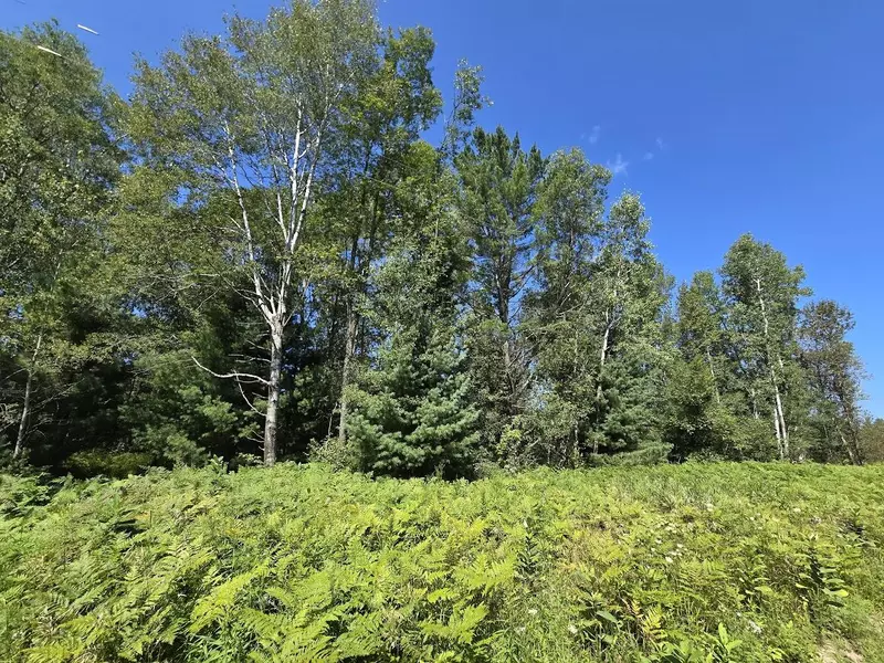 11200 S 220th Avenue, Reed City, MI 49677