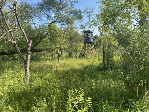 Pinckney, MI 48169,8457 Bentley Lake Road