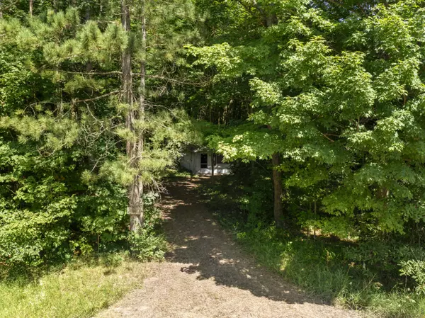 Thompsonville, MI 49683,14880 Woods Trail