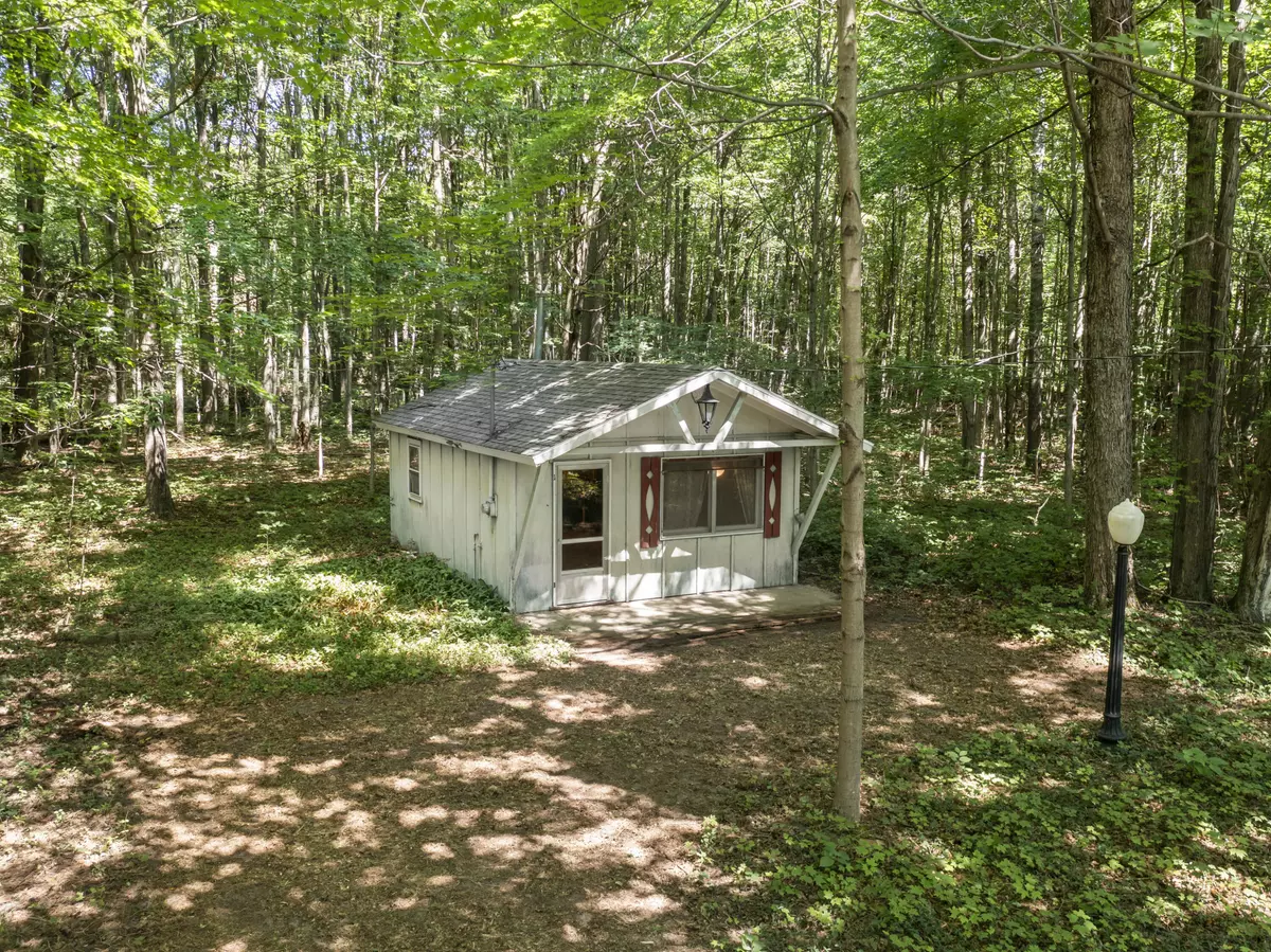 Thompsonville, MI 49683,14880 Woods Trail