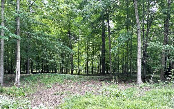 Stanton, MI 48888,Lot 184 S E Shore Drive