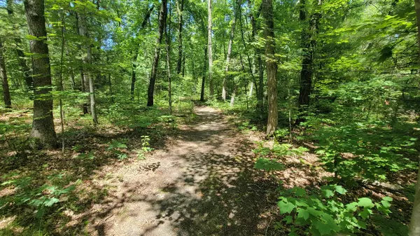 Pierson, MI 49339,Parcel A Matthew Court