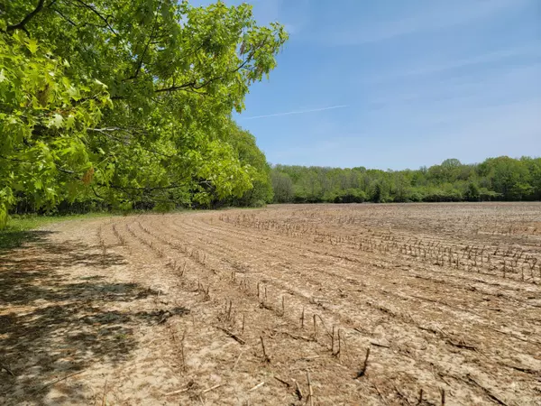 Nunica, MI 49448,0 Leonard Road