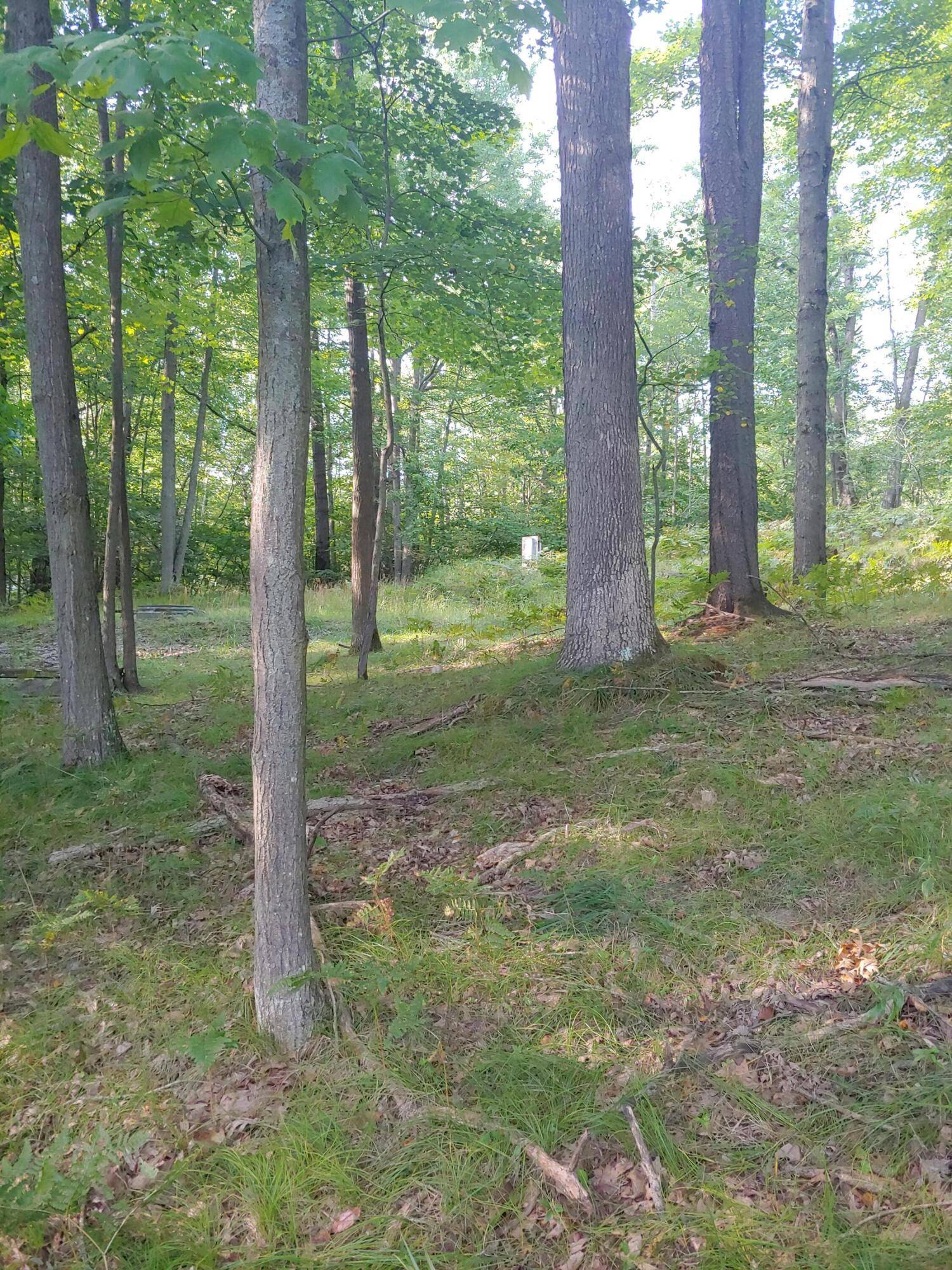 Farwell, MI 48622,1631 Laurel Lane