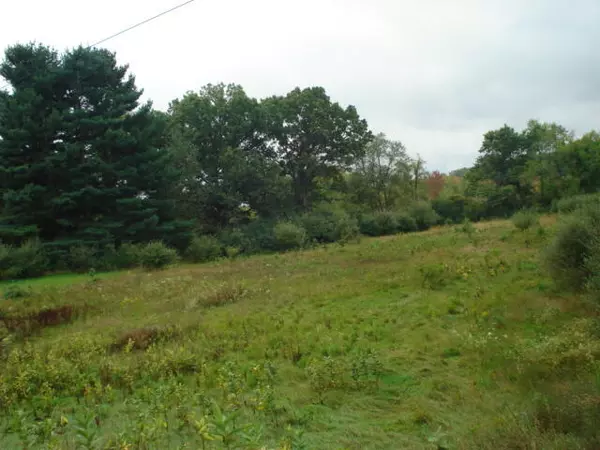 Jackson, MI 49201,V/l Hawkins Road
