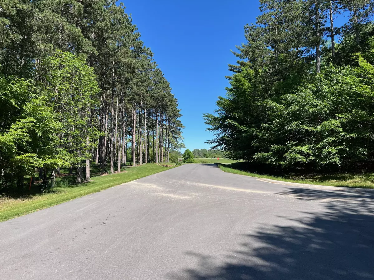 Grant, MI 49327,Lot 17 Austrian Drive