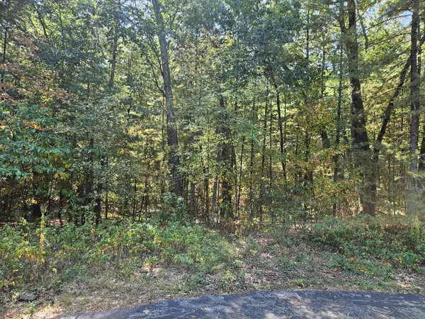 Allegan, MI 49010,Lot 36 Wildwood Drive