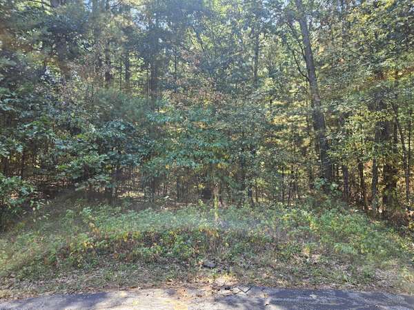 Allegan, MI 49010,Lot 36 Wildwood Drive