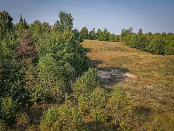 Bitely, MI 49309,V/L E 16 Mile - A Road