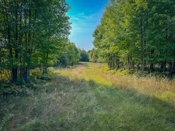 Bitely, MI 49309,V/L E 16 Mile - A Road