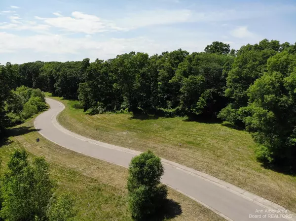 Brighton, MI 48116,0 Mohican- Lot 1 Drive