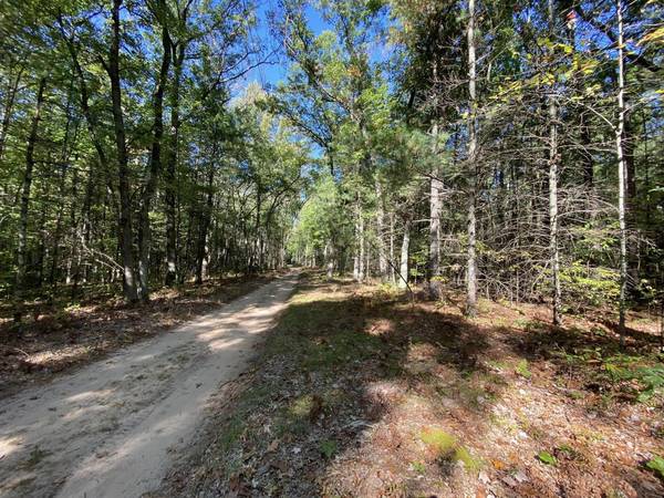 S Clay #Lot 19, Newaygo, MI 49337