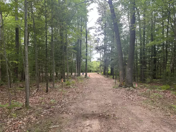 Pentwater, MI 49449,V/L Watson Avenue