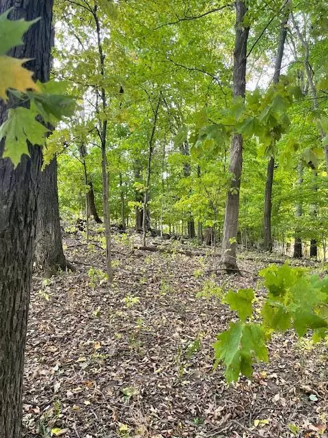 Vandalia, MI 49095,Elbow Lake Road