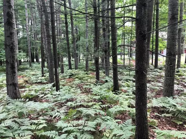 Canadian Lakes, MI 49346,6787 Beechnut Court