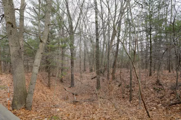 Portage, MI 49024,5093 Grand Arbre Trail