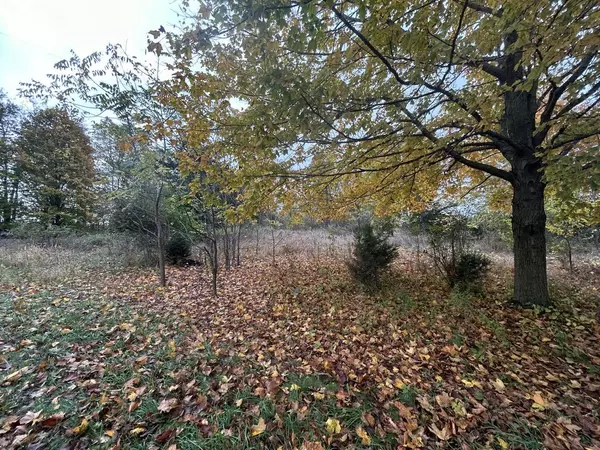 Pittsford, MI 49271,8091 S Waldron Road