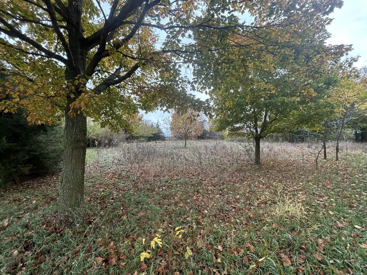 Pittsford, MI 49271,8091 S Waldron Road