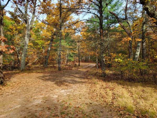 4.84 ac 160th Avenue, Hesperia, MI 49421