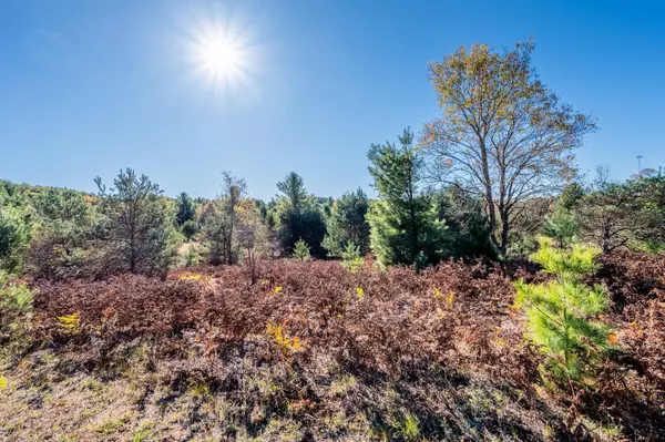 Cadillac, MI 49601,00 48 Rd #2