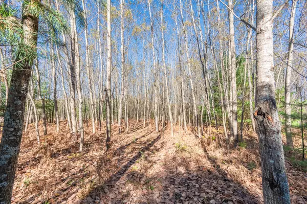 Cadillac, MI 49601,00 48 Rd