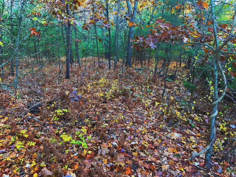 0 Judson Rd #Lot 75, Spring Lake, MI 49456