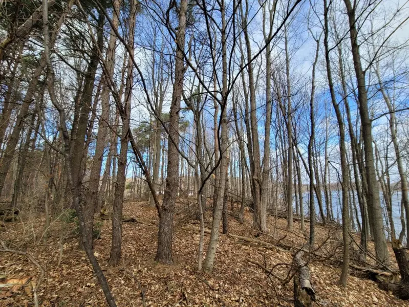 V/L Apple Ln #Lot 6, Ludington, MI 49431