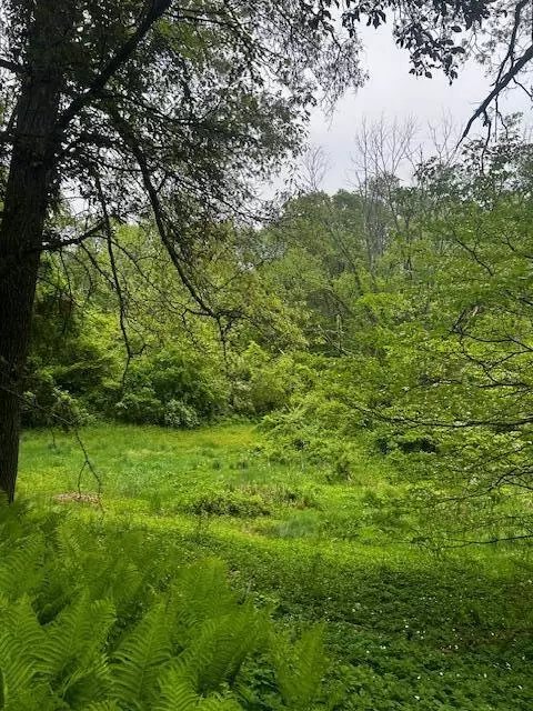 Ada, MI 49301,1300 Sargent SE Avenue