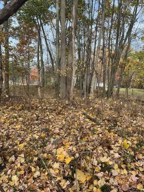 Lawton, MI 49065,74777 Ridgeway Drive