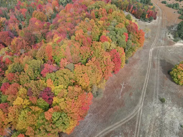 N Cedar Street Kalkaska, MI 49646