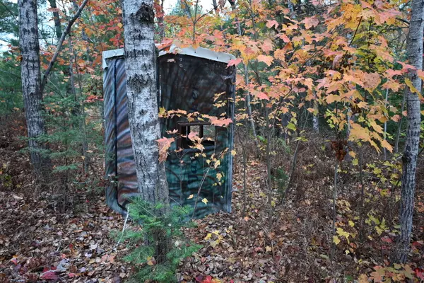 N Cedar Street Kalkaska, MI 49646