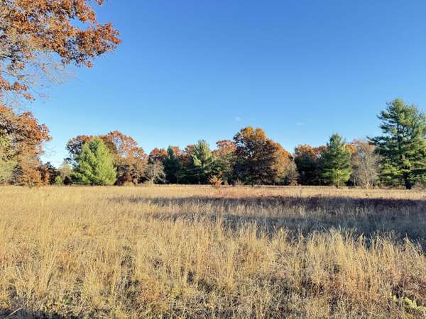 10.01AC Barberry Avenue, Newaygo, MI 49337